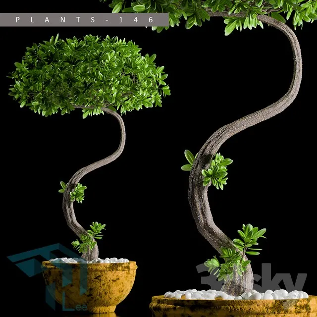 PRO PLANT 3D MODELS – 632