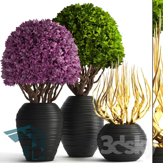 PRO PLANT 3D MODELS – 637