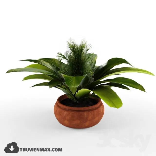 PRO PLANT 3D MODELS – 076
