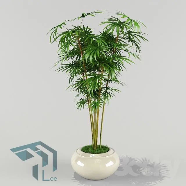PRO PLANT 3D MODELS – 009