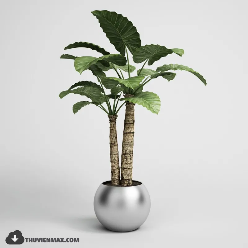 PRO PLANT 3D MODELS – 081