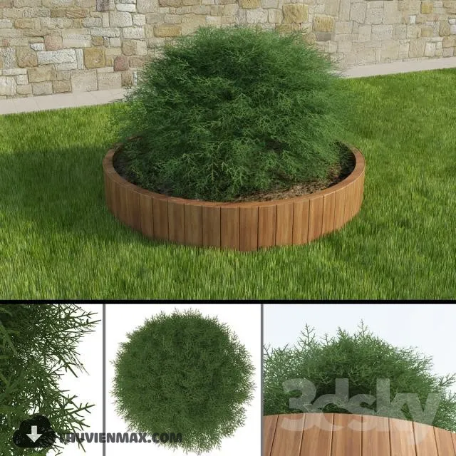 PRO PLANT 3D MODELS – 099
