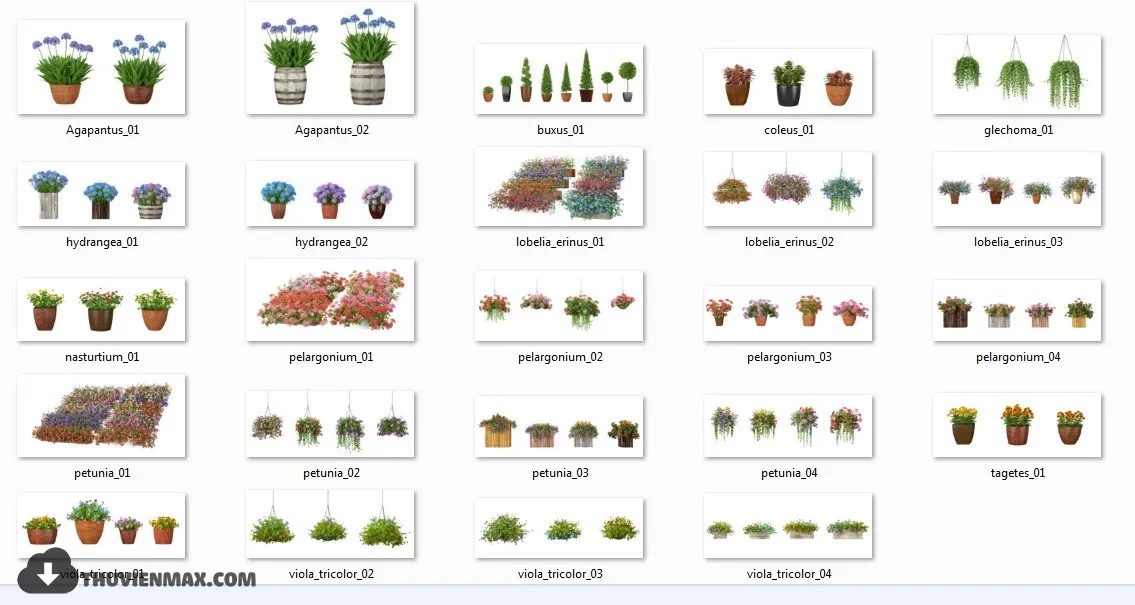 PRO PLANT 3D MODELS – 001