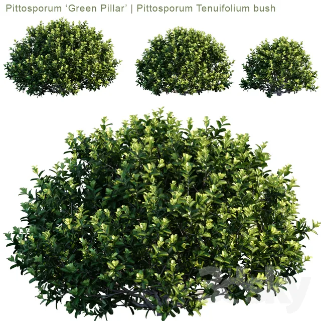 DECOR HELPER – PLANT – EXTERIOR 3D MODELS – 130