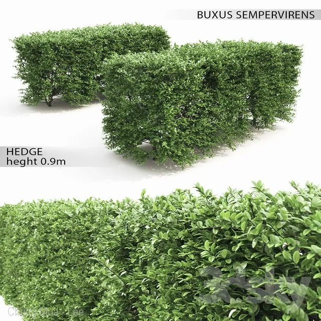 DECOR HELPER – PLANT – EXTERIOR 3D MODELS – 20