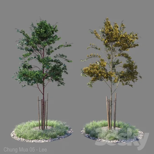 Young tree 04 3DS Max - thumbnail 3