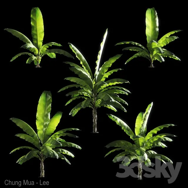 DECOR HELPER – PLANT – EXTERIOR 3D MODELS – 58