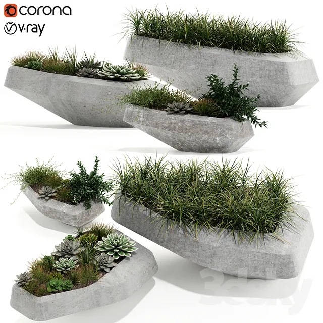 Plants collection 132 indigenus steen 3DS Max - thumbnail 3