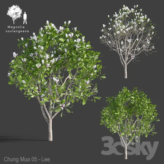 DECOR HELPER – PLANT – EXTERIOR 3D MODELS – 72