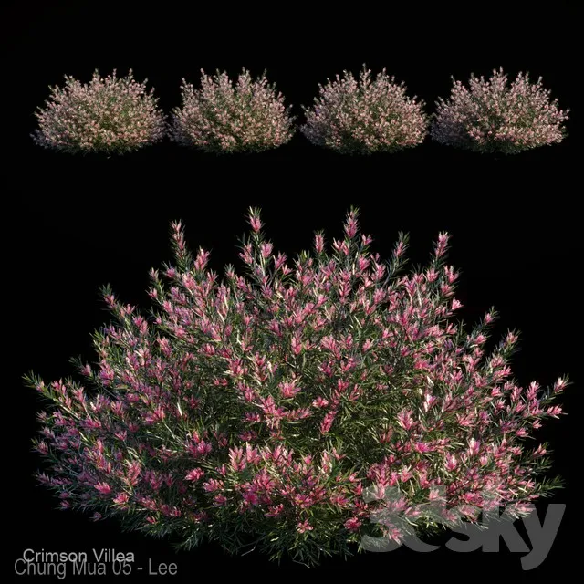 DECOR HELPER – PLANT – EXTERIOR 3D MODELS – 74