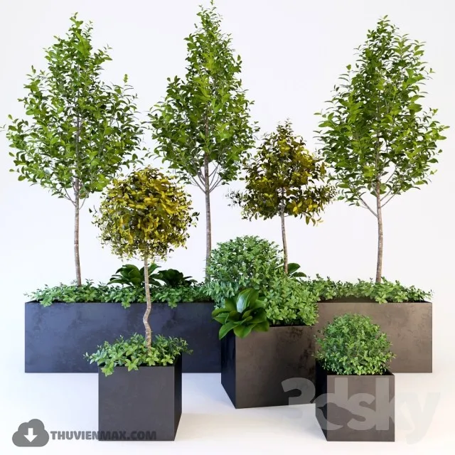 DECOR HELPER – PLANT – FLOOR 3D MODELS – 103