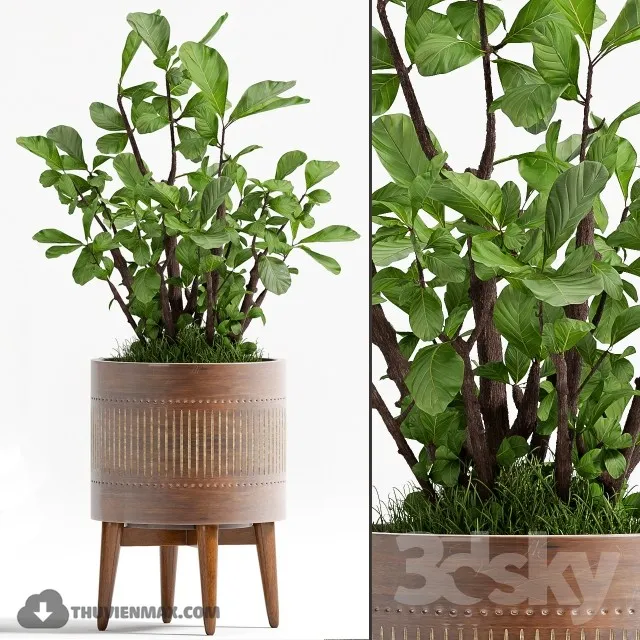DECOR HELPER – PLANT – FLOOR 3D MODELS – 106
