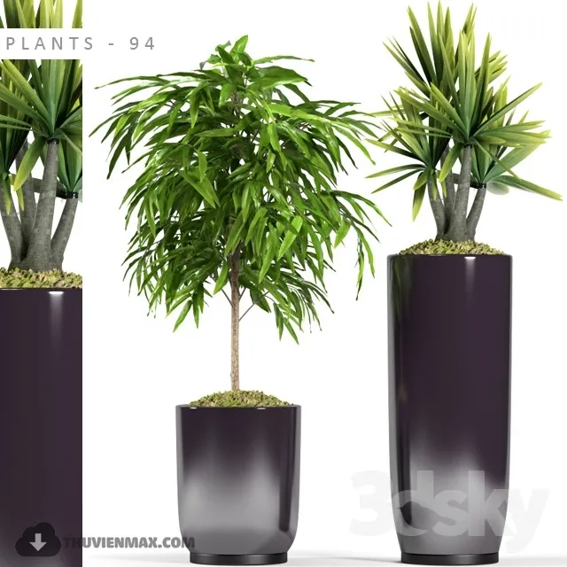 DECOR HELPER – PLANT – FLOOR 3D MODELS – 107