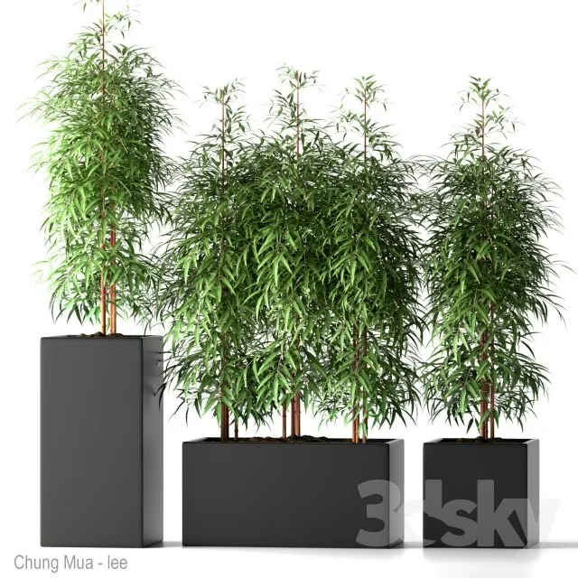 DECOR HELPER – PLANT – FLOOR 3D MODELS – 109