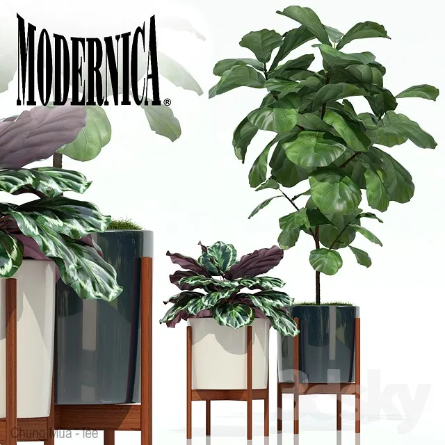 DECOR HELPER – PLANT – FLOOR 3D MODELS – 124