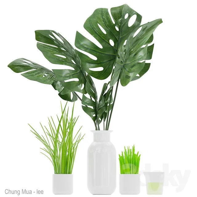 DECOR HELPER – PLANT – FLOOR 3D MODELS – 129