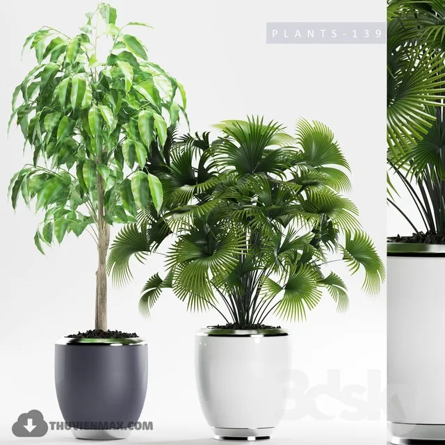 DECOR HELPER – PLANT – FLOOR 3D MODELS – 16