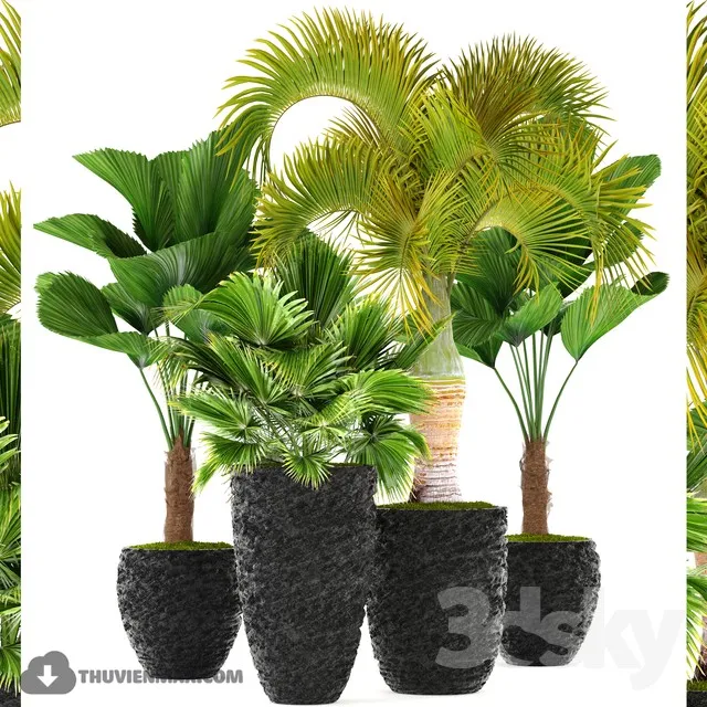 DECOR HELPER – PLANT – FLOOR 3D MODELS – 24