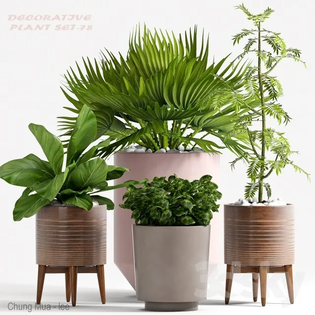 DECOR HELPER – PLANT – FLOOR 3D MODELS – 302