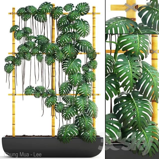 DECOR HELPER – PLANT – FLOOR 3D MODELS – 323