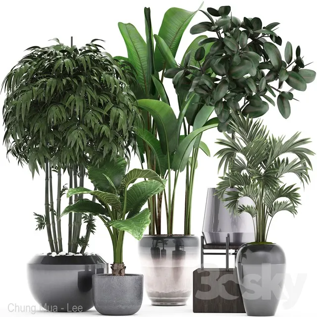 DECOR HELPER – PLANT – FLOOR 3D MODELS – 47
