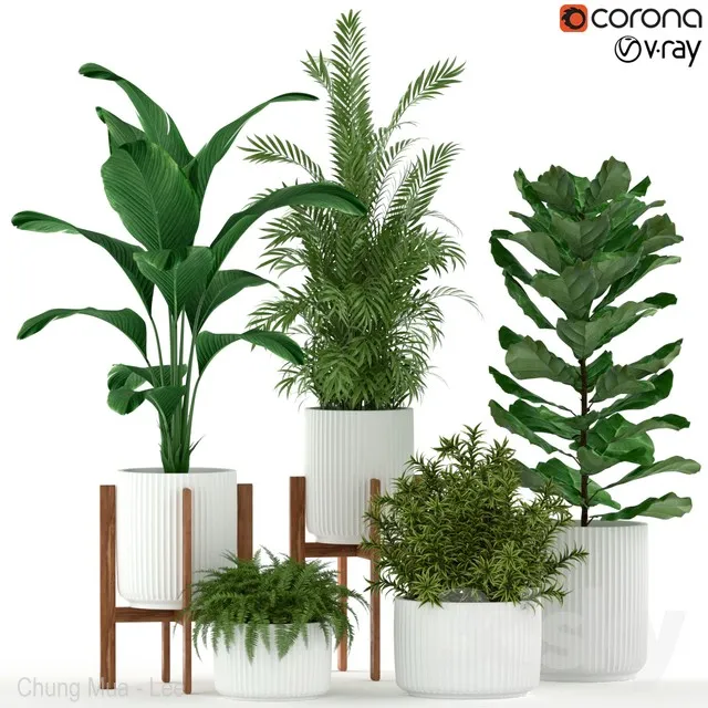 Plants collection 194 3DS Max - thumbnail 3