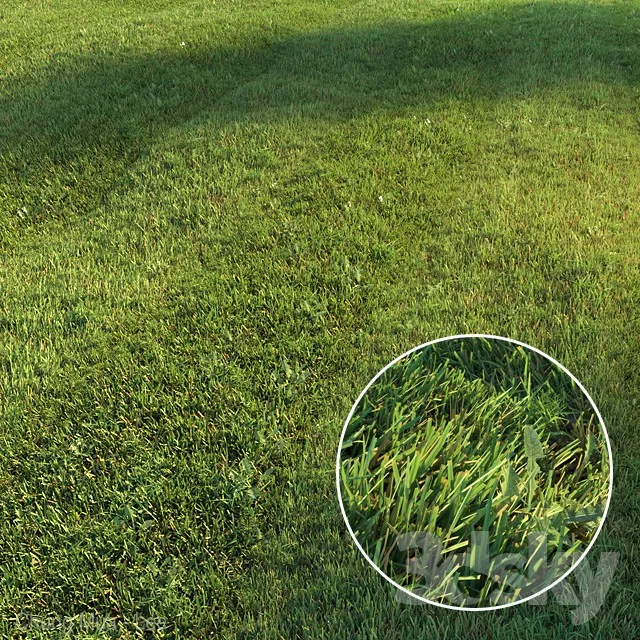 Mowed lawn 3DS Max - thumbnail 3