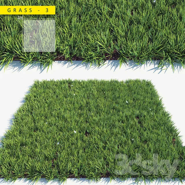 Grass 3 3DS Max - thumbnail 3