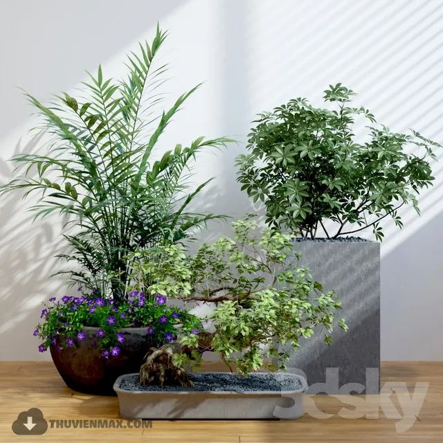 DECOR HELPER – PLANT – TABLE 3D MODELS – 2
