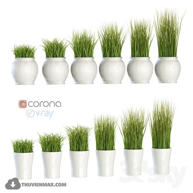 Grass in pots 3DS Max - thumbnail 3