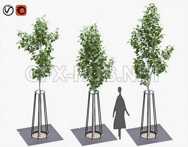 FURNITURE 3D MODELS – Landscaping kit with American linden 3.9 – 4.5m