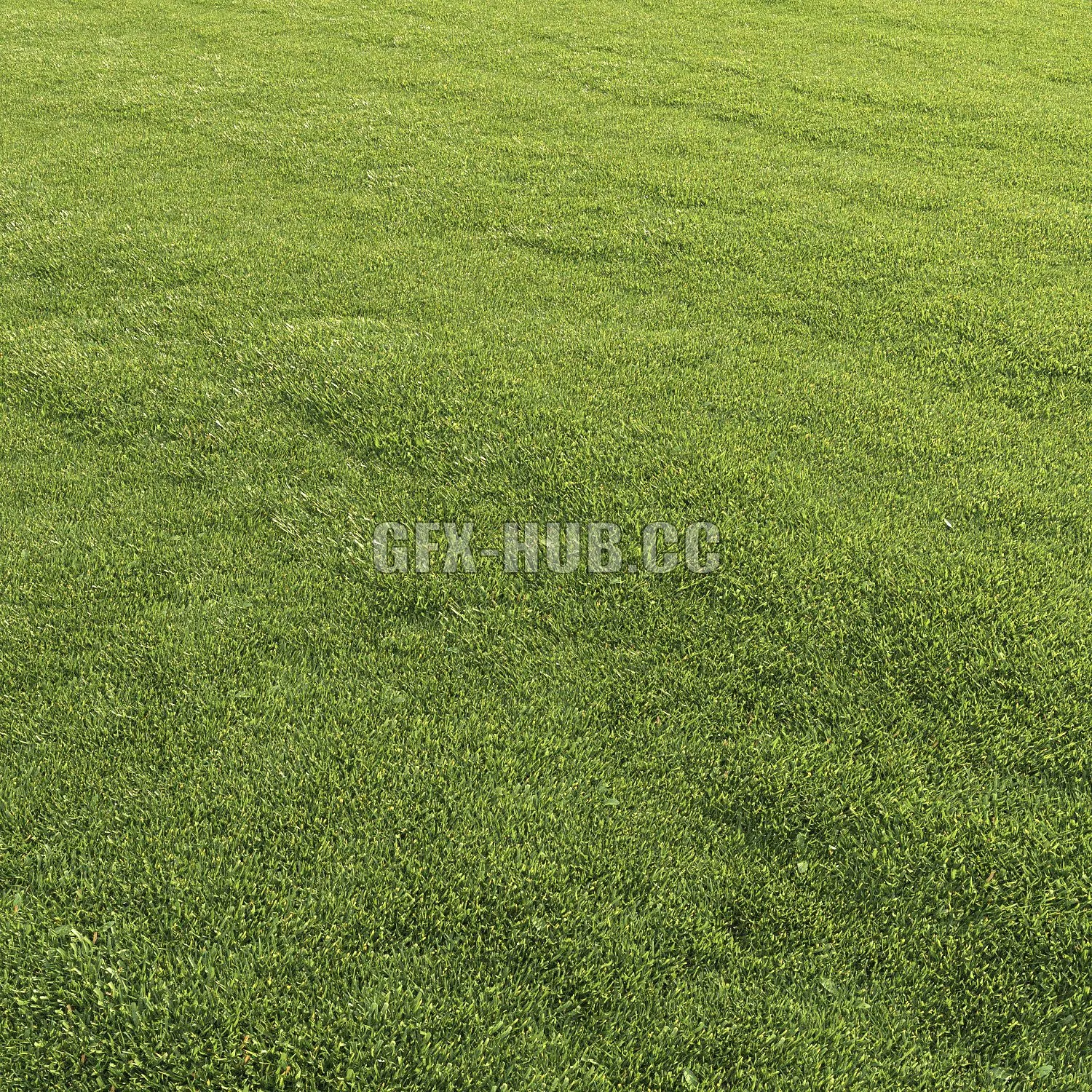 FURNITURE 3D MODELS – Lawn Grass 1