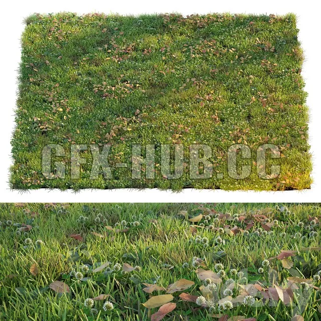FURNITURE 3D MODELS – Lawn with clover and dry leaves