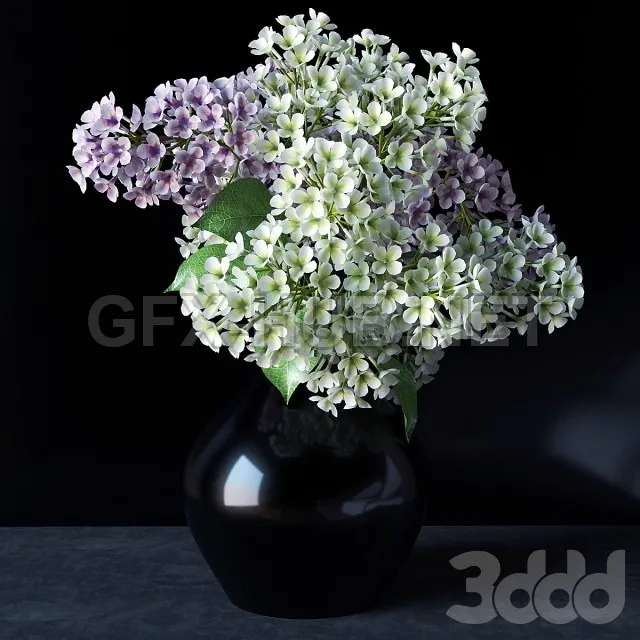 FURNITURE 3D MODELS – Lilacs in a vase