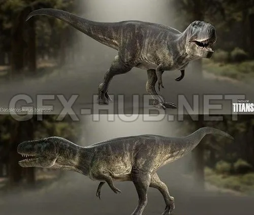PBR Game 3D Model – Daspletosaurus torosus