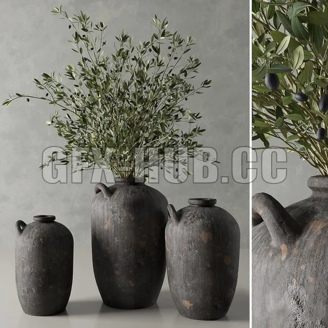 FURNITURE 3D MODELS – Olive in a Spanish Water Vessel by Restoration Hardware