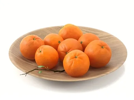 FURNITURE 3D MODELS – Oranges