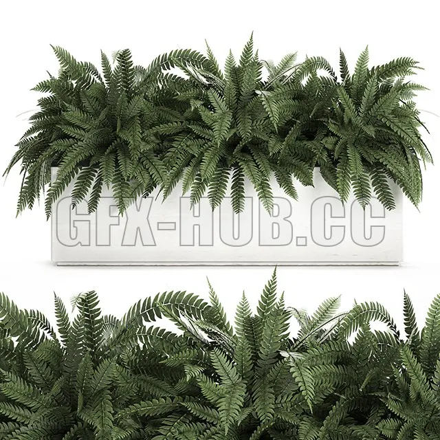FURNITURE 3D MODELS – Ornamental Plant Collection 673