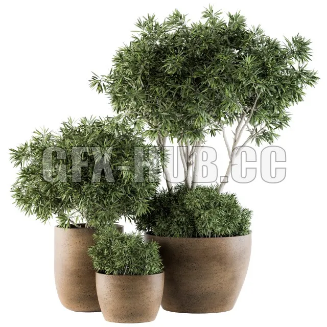 FURNITURE 3D MODELS – Outdoor Plants decorative tree in Concrete flowerpot Set 111
