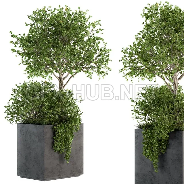 FURNITURE 3D MODELS – Outdoor Plants in Concrete Plant Box – Set 93