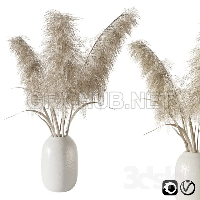 FURNITURE 3D MODELS – Pampas grass bouquet
