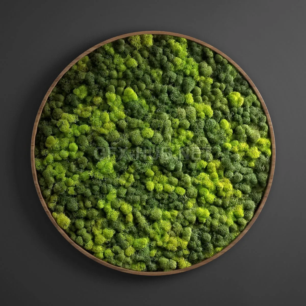 FURNITURE 3D MODELS – Panel moss circle