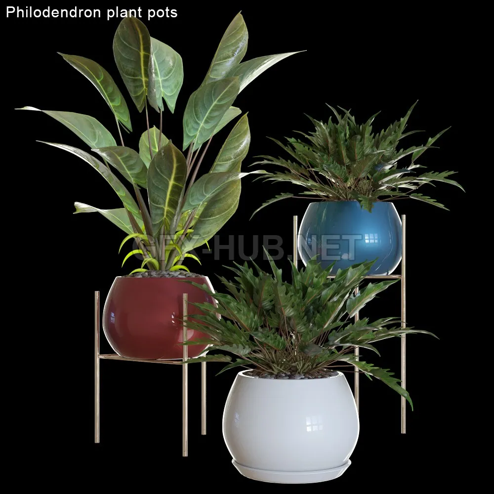 FURNITURE 3D MODELS – Philodendron plant pots 2
