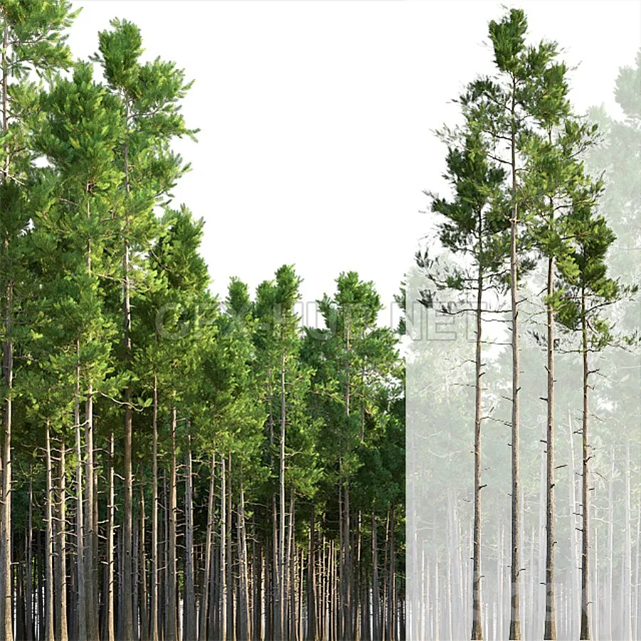 FURNITURE 3D MODELS – Pine trees