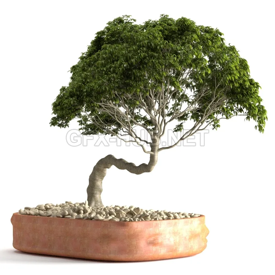 3DSMAX - FREE 3DS MAX MODELS