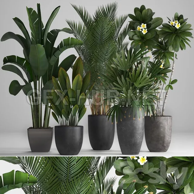 FURNITURE 3D MODELS – Plant Collection 256