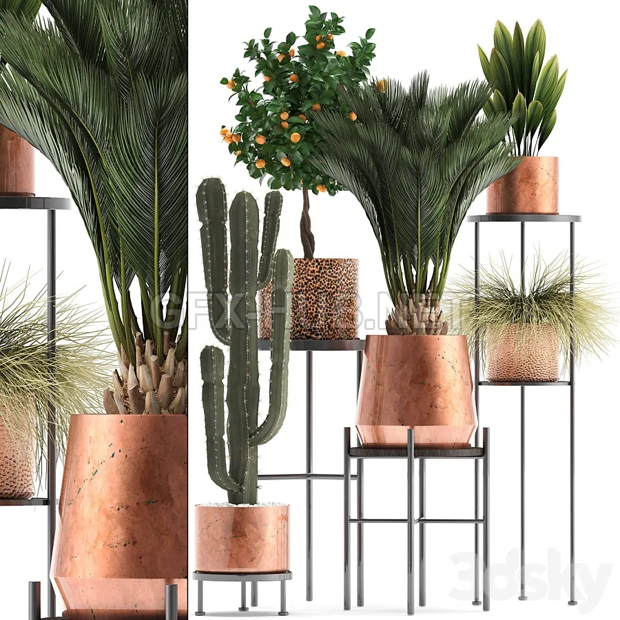 FURNITURE 3D MODELS – Plant collection 288. copper pot
