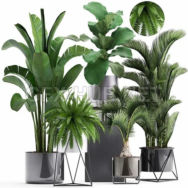 FURNITURE 3D MODELS – Plant collection 290