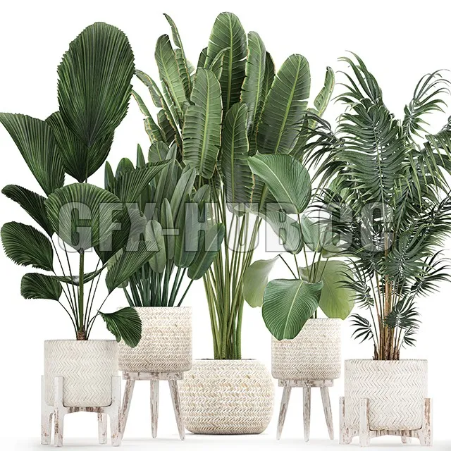 FURNITURE 3D MODELS – Plant Collection 713 Scandinavian style