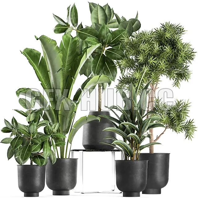 FURNITURE 3D MODELS – Plant collection 855 in Vig Planter pots